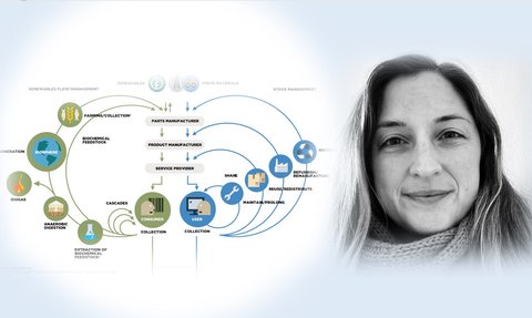 Closing the Loop: Cellular Agriculture Meets the Circular Economy