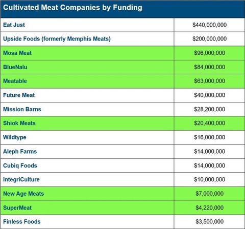 Table 1: Cultivated meat companies by funding