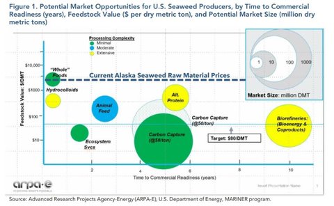 market opportunities for seaweed producers