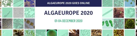 AlgaEurope 2020