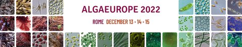 AlgaEurope 2022