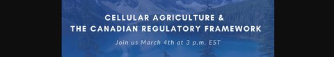 Cellular Agriculture and the Canadian Regulatory Framework