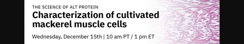 Characterization of cultivated mackerel muscle cells with Michael Saad