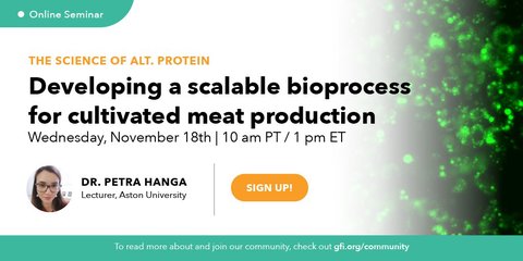 Developing a bioprocess for the scalable production of cultivated meat