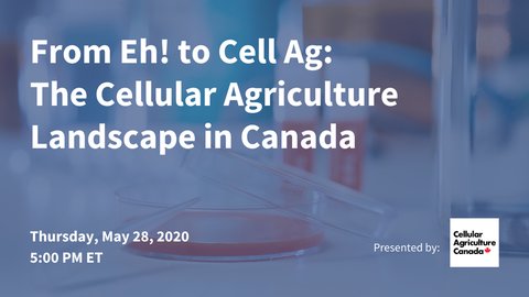 From Eh! to Cellag: The Cellular Agriculture Landscape in Canada