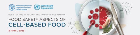 Food safety aspects of cell-based food