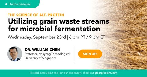 Utilizing grain waste streams for microbial fermentation