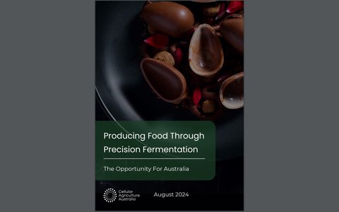 Australia Poised to Lead Global Precision Fermentation Industry: New Report