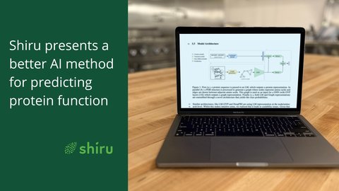 A better AI approach for protein function prediction