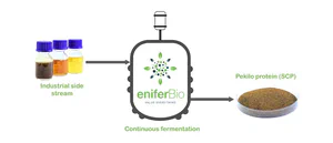 eniferBio infographic