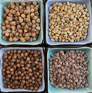 NuCicer Novel Chickpea Varieties