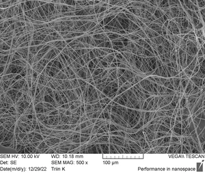 Gelatex halospun nanofiber scaffold SEM image 1 (by Gelatex)