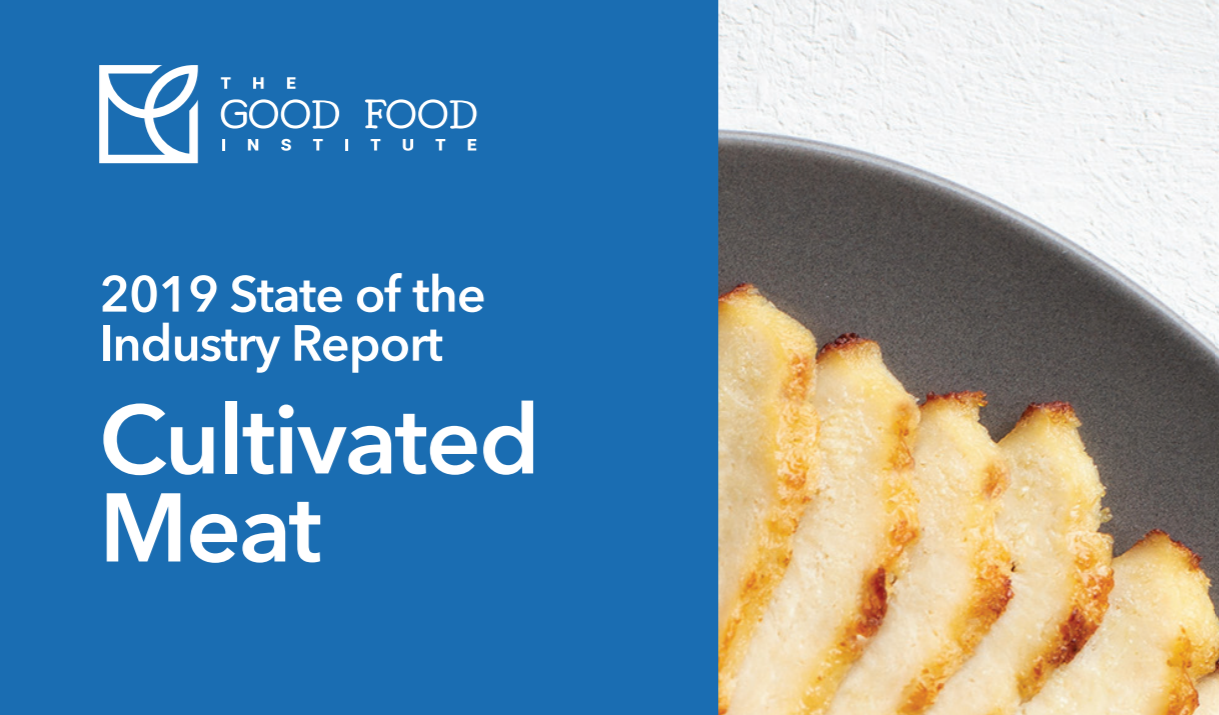 Cultivated Meat 2019 State of the Industry Report Protein Report