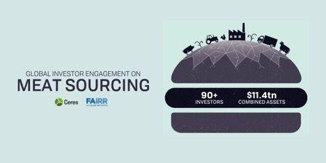 FAIRR-Ceres Meat sourcing briefing January 2020