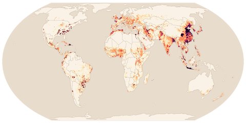 (Farm) Animal Planet: A look at livestock production around the world