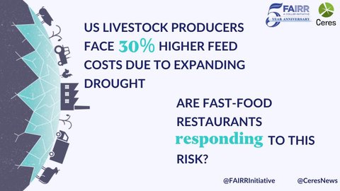 Global Investor Engagement on Meat Sourcing