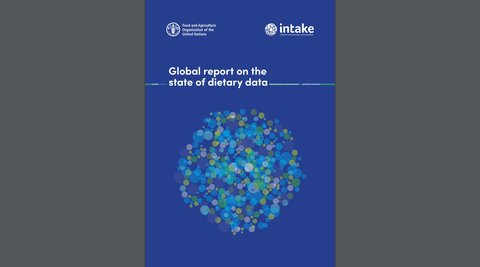 Global report on the state of dietary data