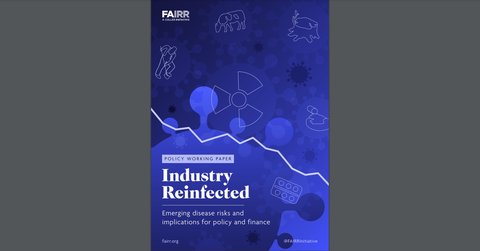 Industry Reinfected - Emerging Disease Risks and Implications for Policy and Finance