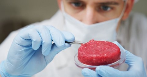 Innovative Foods: a guide to responsible investment in cell-cultured meat and seafood