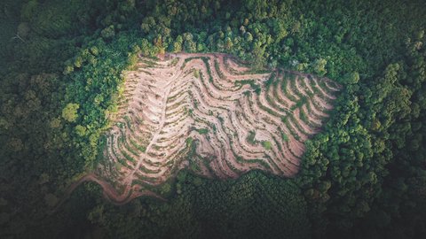 IPBES Workshop on Biodiversity and Pandemics