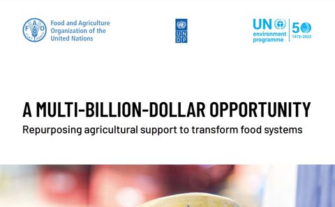 A multi-billion-dollar opportunity – Repurposing agricultural support to transform food systems