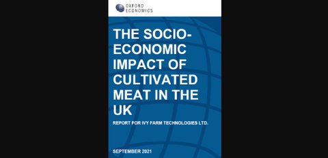 The Socio-economic Impact of Cultivated Meat in the UK