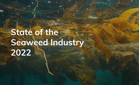 State of the Seaweed Industry 2022