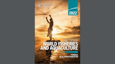 The State of World Fisheries and Aquaculture 2022